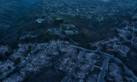 Incendies en France : quelles aides pour les particuliers et les entreprises sinistrés en 2026 ?